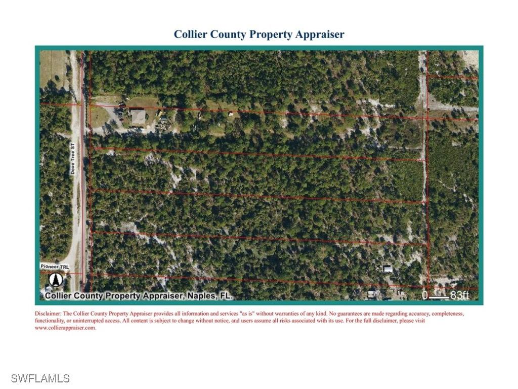 Dove Tree Street Naples FL 34117 226003425 image5