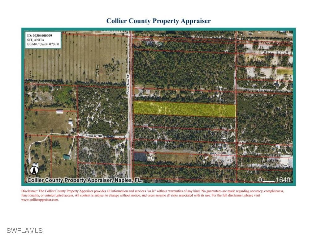 Dove Tree Street Naples FL 34117 226003425 image6