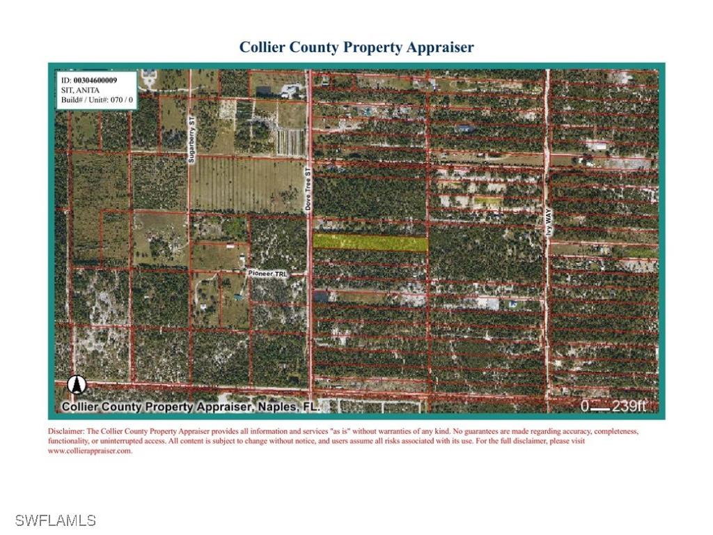 Dove Tree Street Naples FL 34117 226003425 image7