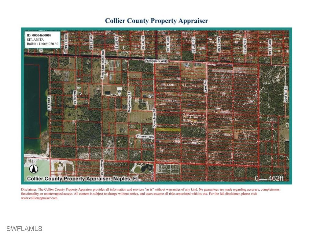 Dove Tree Street Naples FL 34117 226003425 image8