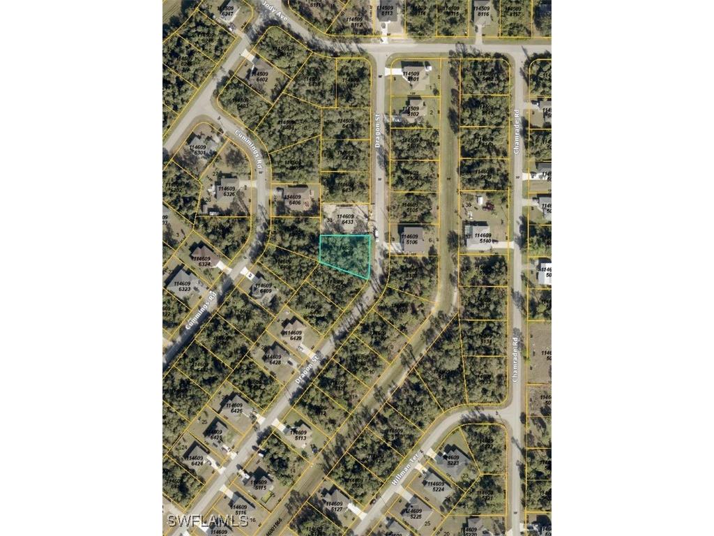 Dragon Street North Port FL 34288 225070561 image2