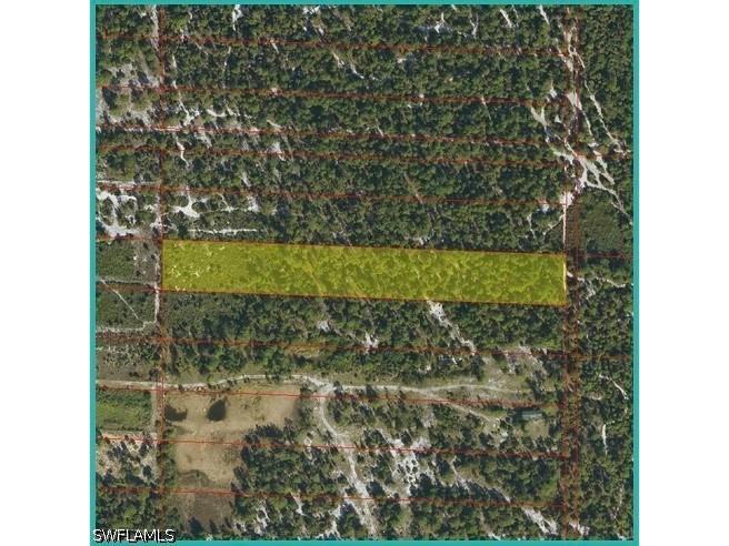 Frangipani & Ivy Way Avenue Naples FL 34120 226016431 image1