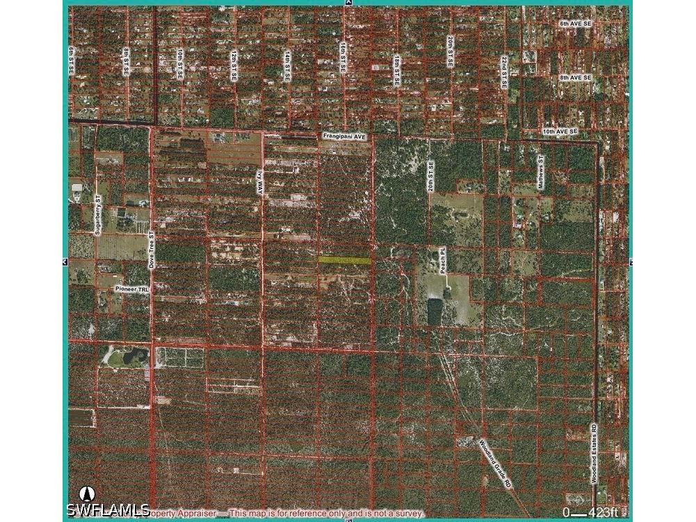 Frangipani & Ivy Way Avenue Naples FL 34120 226016431 image3