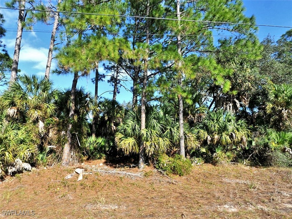 Felix Avenue North Port FL 34288 225054962 image1