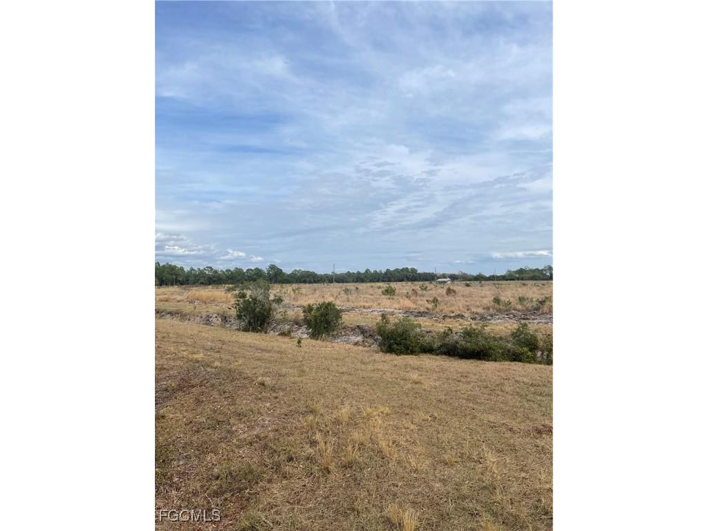 Fernwood Lane Labelle FL 33935 2026003334 image11