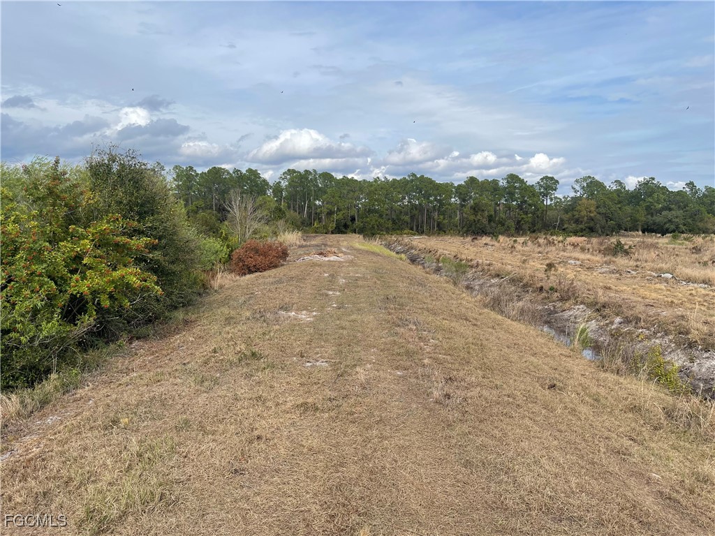 Fernwood Lane Labelle FL 33935 2026003334 image12