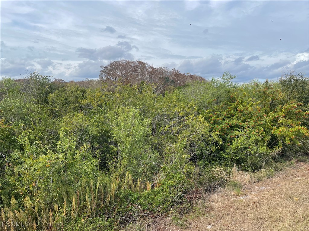 Fernwood Lane Labelle FL 33935 2026003334 image13