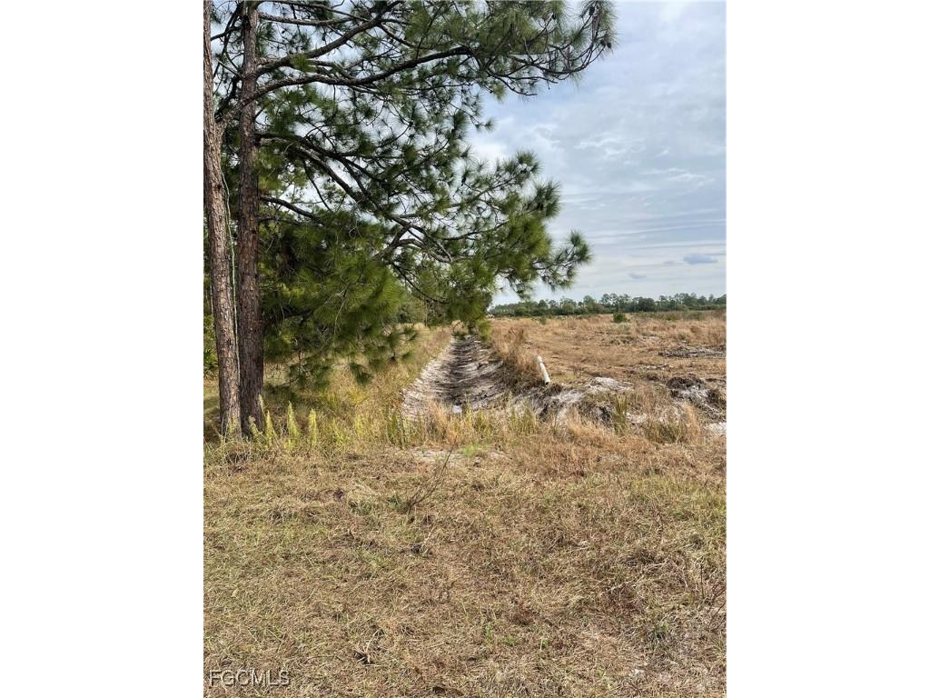 Fernwood Lane Labelle FL 33935 2026003334 image9