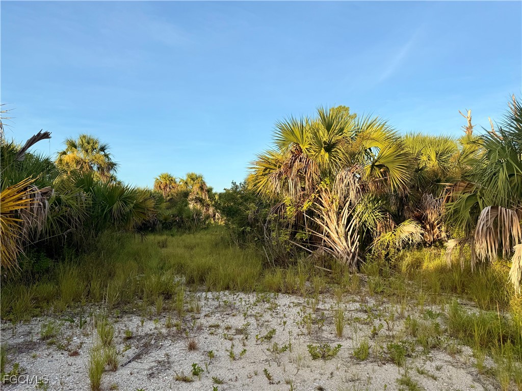 Fireglow Circle N North Port FL 34288 2025004593 image7