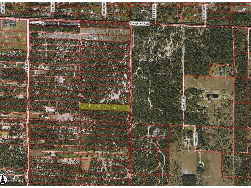 Frangipani Avenue Naples FL 34117 225035722 image2