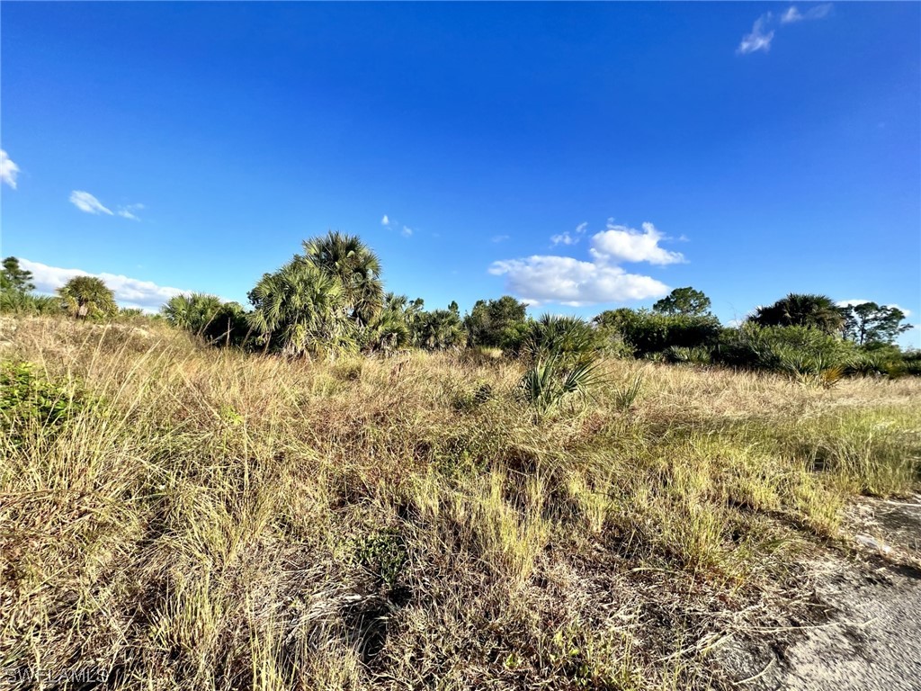 Homeland Court North Port FL 34288 223078537 image1