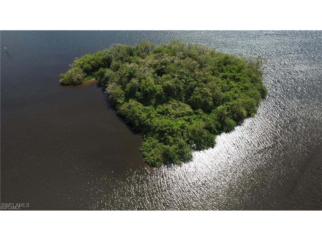 Island Alva FL 33920 225057165 image8