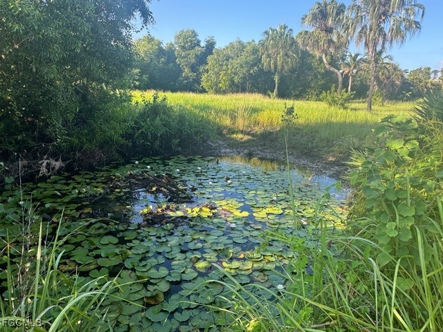 Island Ridge Road Bokeelia FL 33922 2025006419 image10