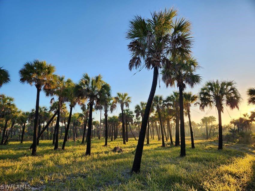 Ivy Way Naples FL 34117 223004943 image1