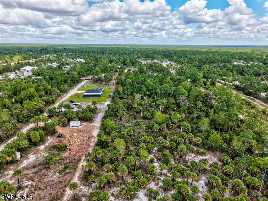Ivy Way Naples FL 34117 226006345 image10