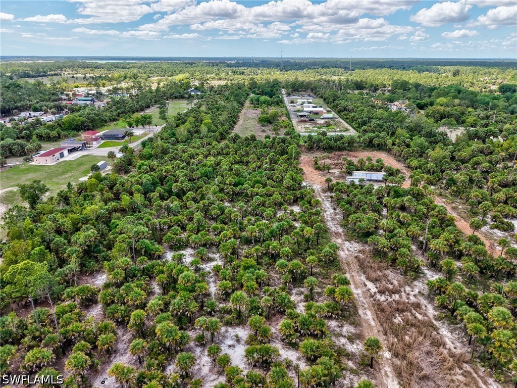 Ivy Way Naples FL 34117 226006345 image11