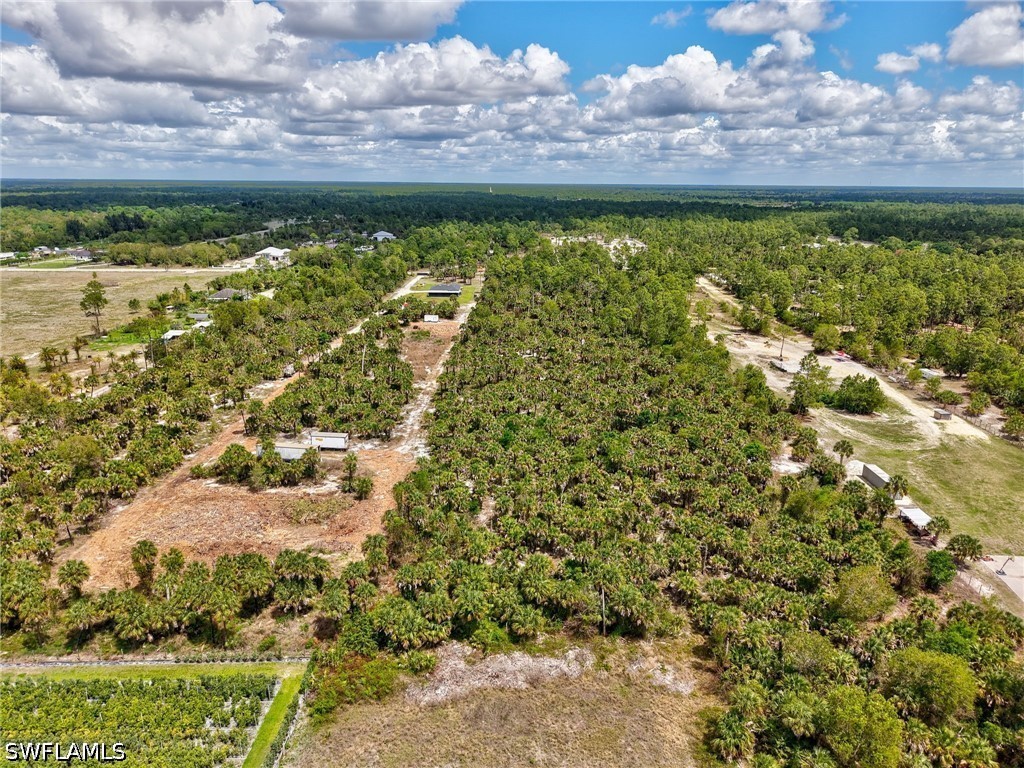 Ivy Way Naples FL 34117 226006345 image4