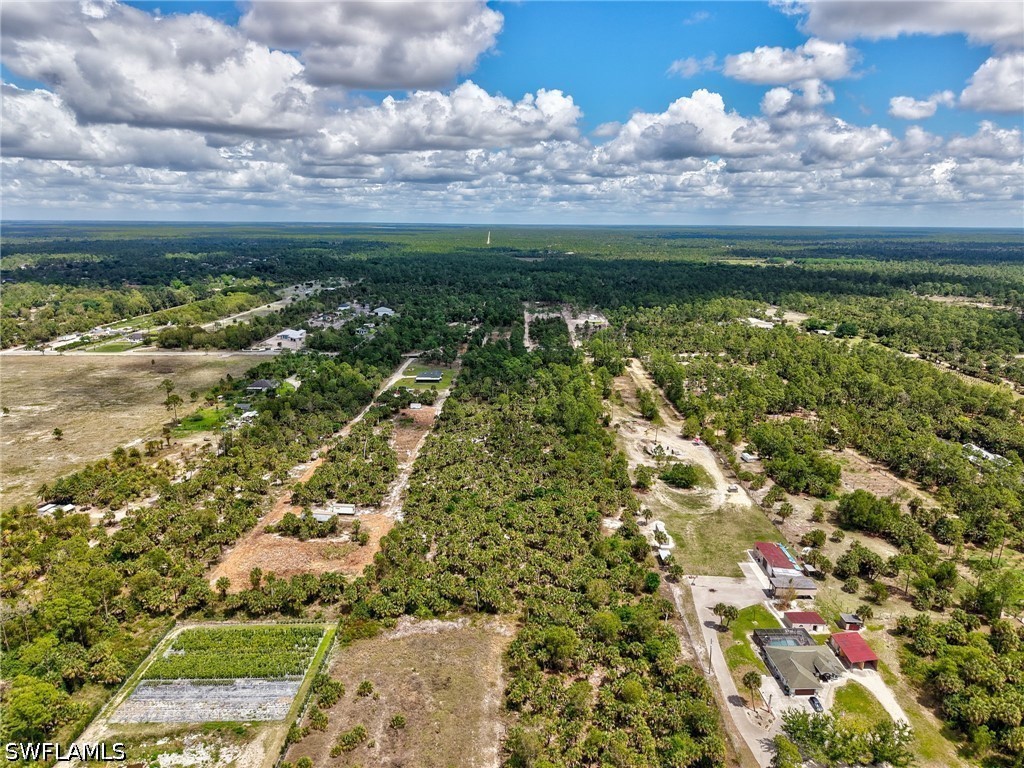 Ivy Way Naples FL 34117 226006345 image6