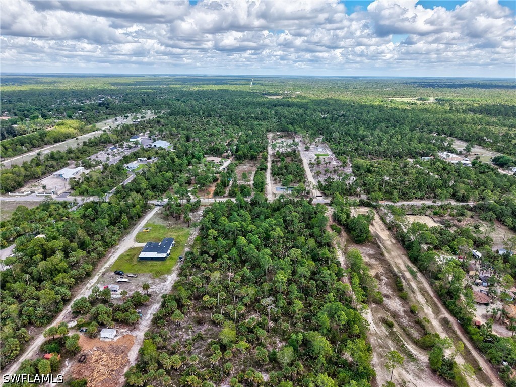 Ivy Way Naples FL 34117 226006345 image9