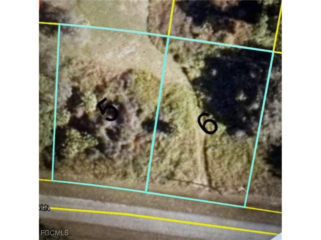 Jabara Lane Labelle FL 33935 2025007318 image2