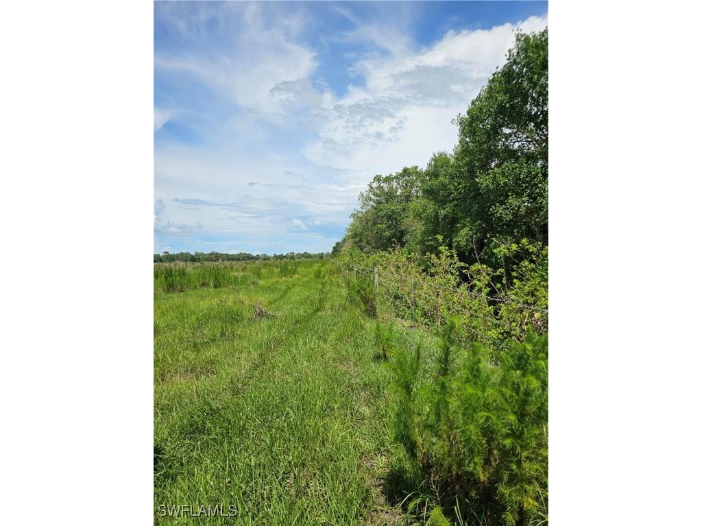 Kirby Thompson Road Labelle FL 33935 225057562 image3