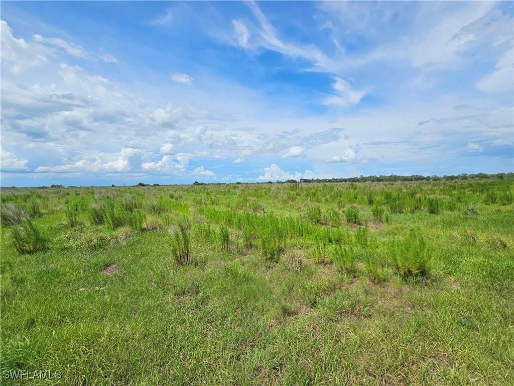 Kirby Thompson Road Labelle FL 33935 225057562 image6