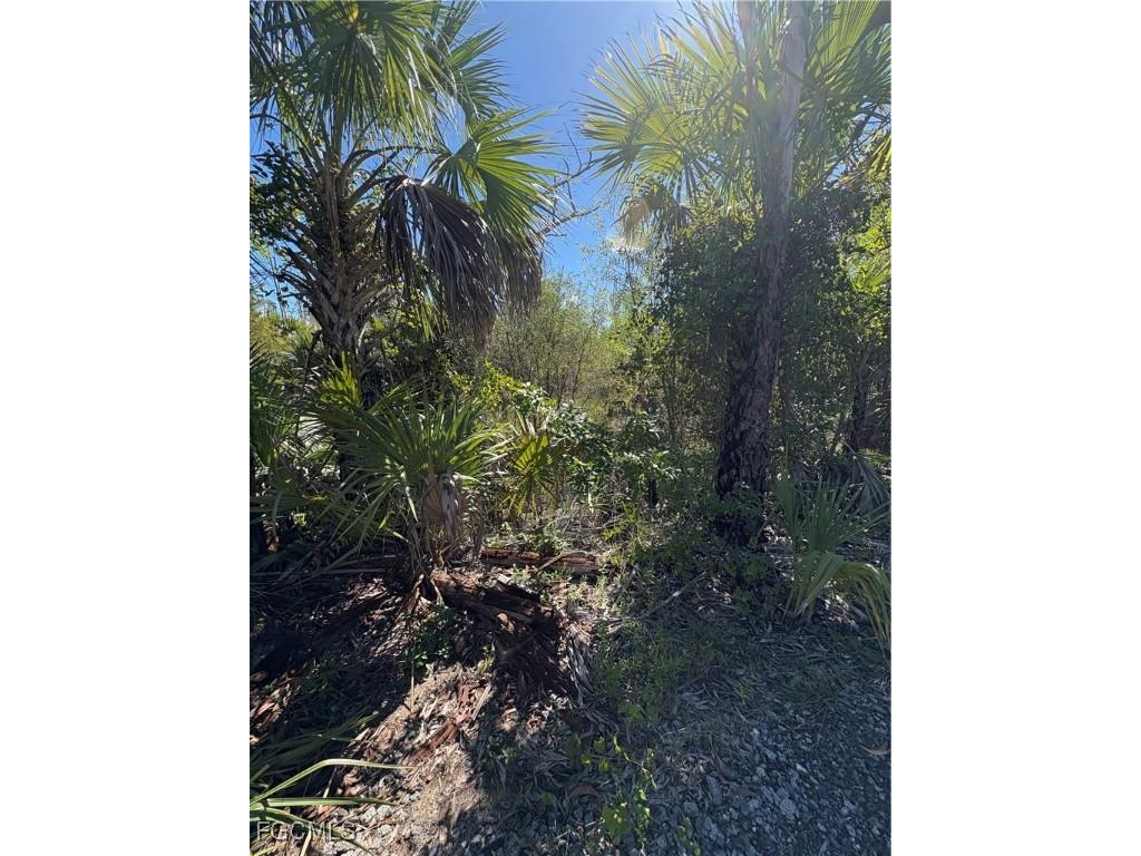 Le Buff Road Naples FL 34114 2025012672 image1