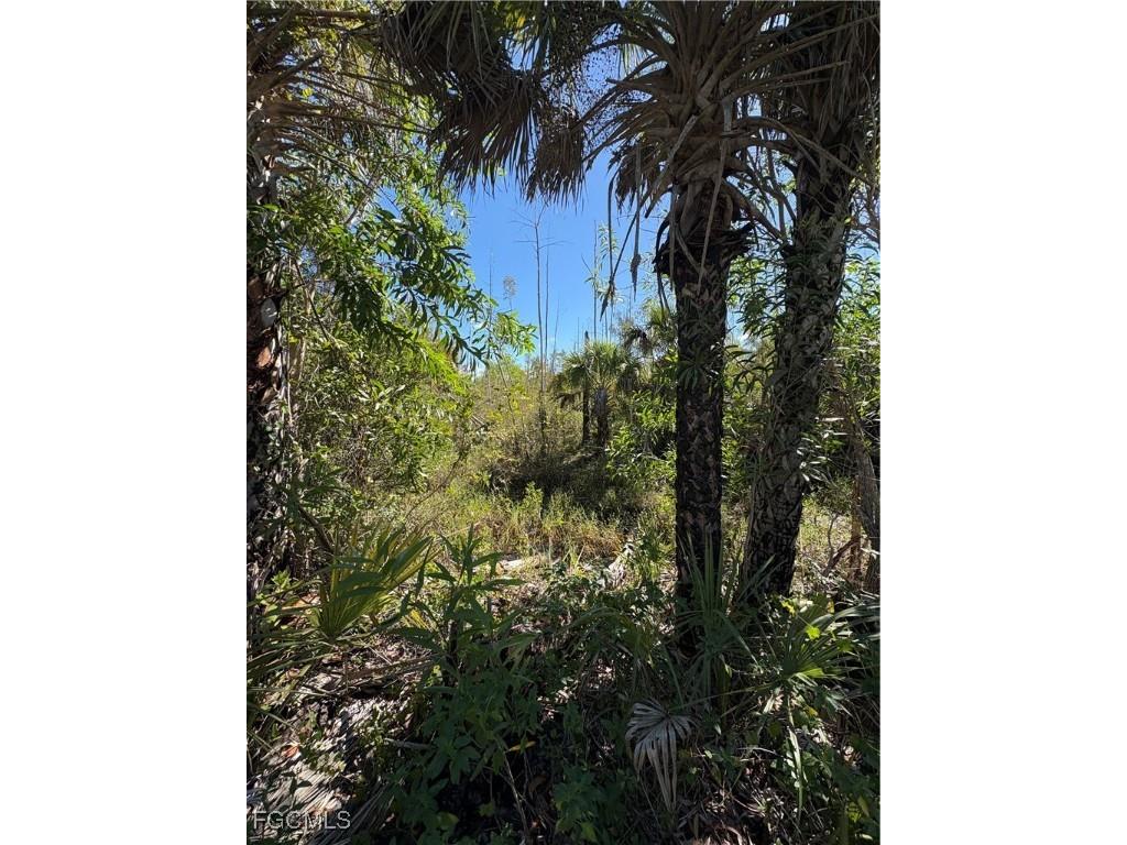 Le Buff Road Naples FL 34114 2025012672 image2