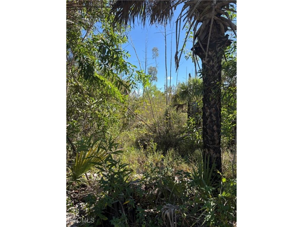 Le Buff Road Naples FL 34114 2025012672 image3