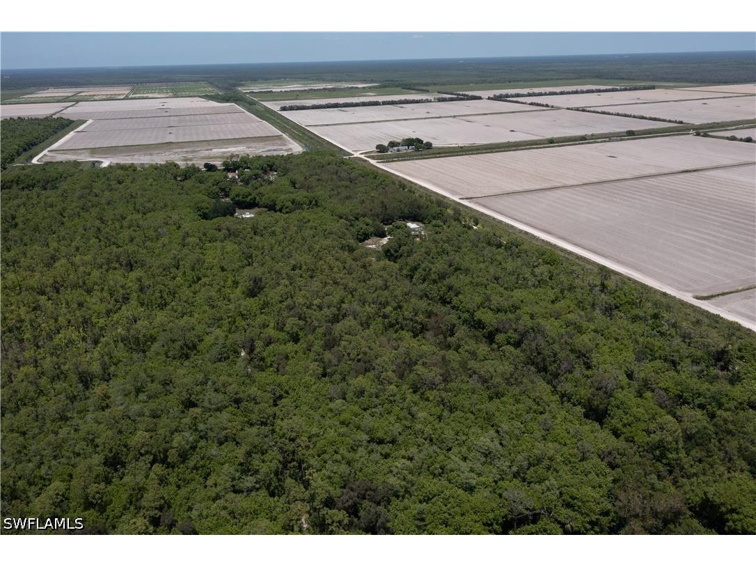 Lager Lane Naples FL 34114 226018289 image13