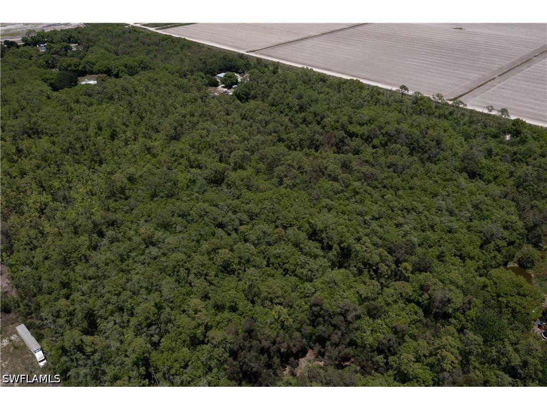 Lager Lane Naples FL 34114 226018289 image19