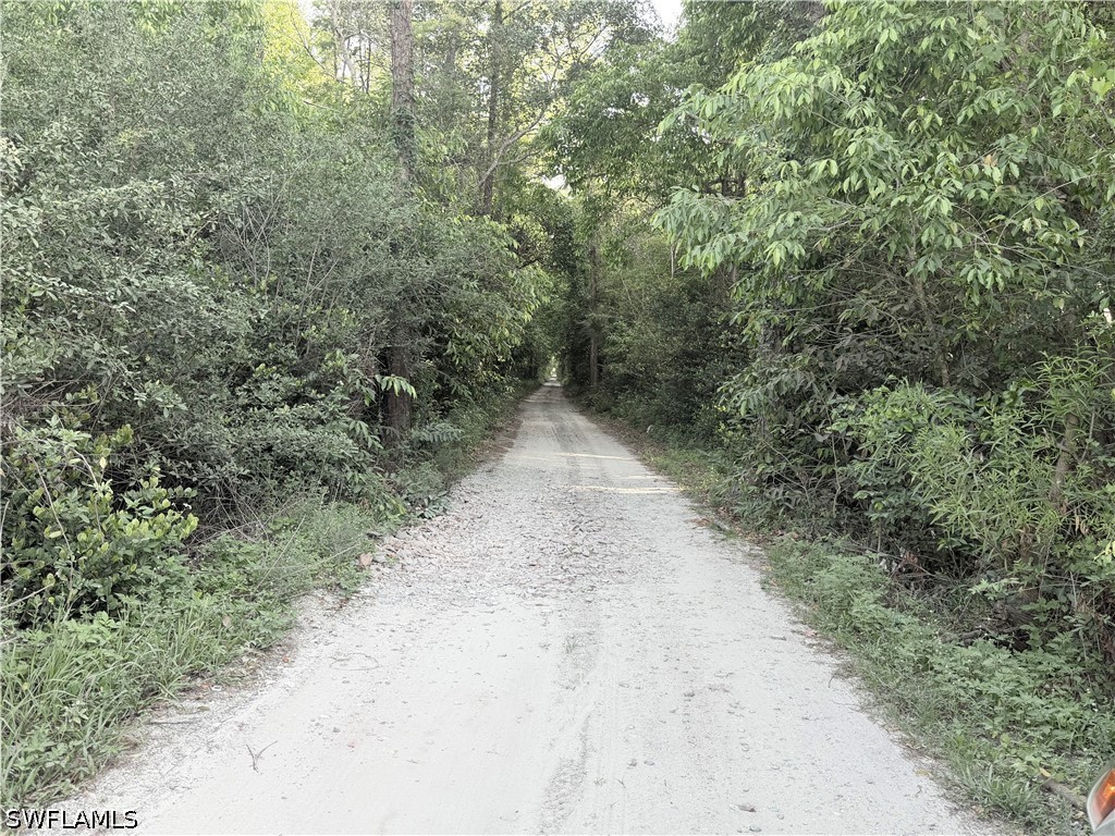 Lager Lane Naples FL 34114 226018289 image24