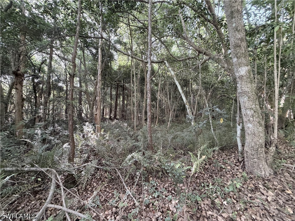Lager Lane Naples FL 34114 226018289 image26
