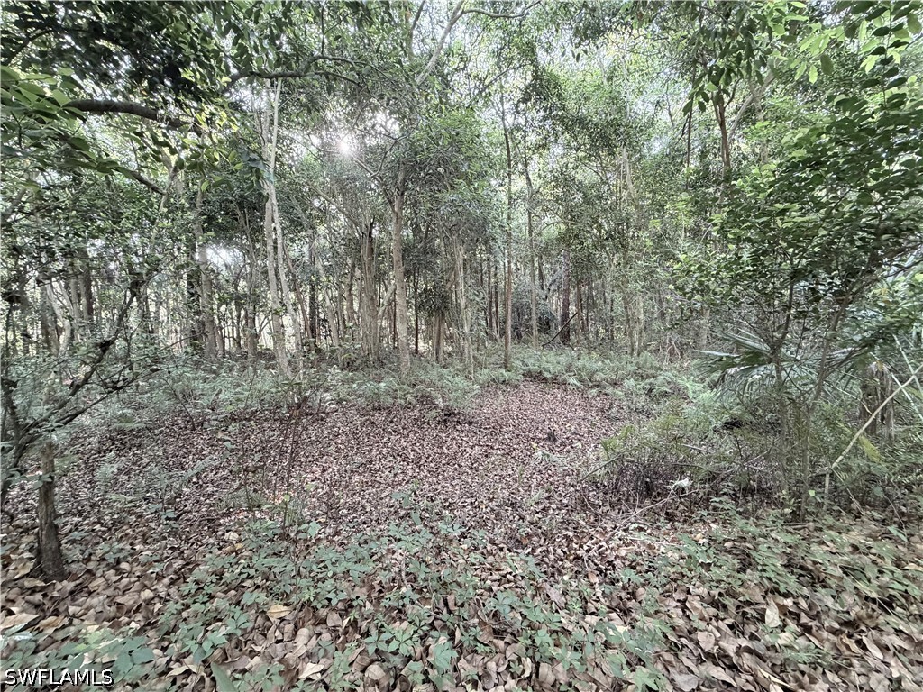 Lager Lane Naples FL 34114 226018289 image27