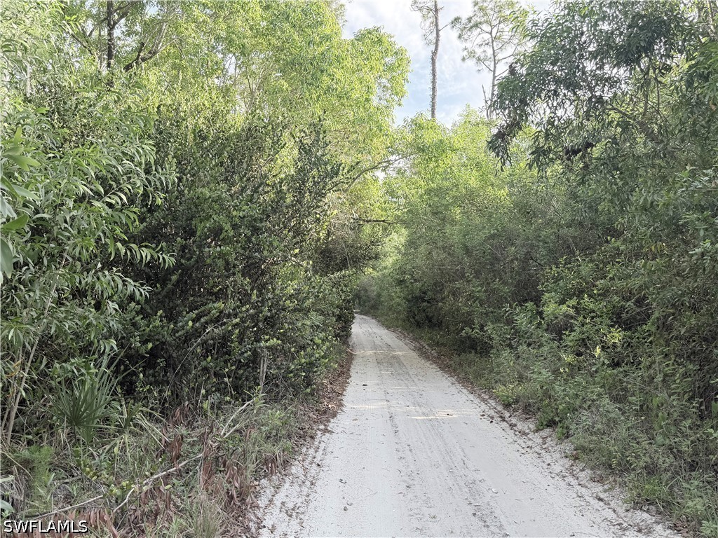 Lager Lane Naples FL 34114 226018289 image29