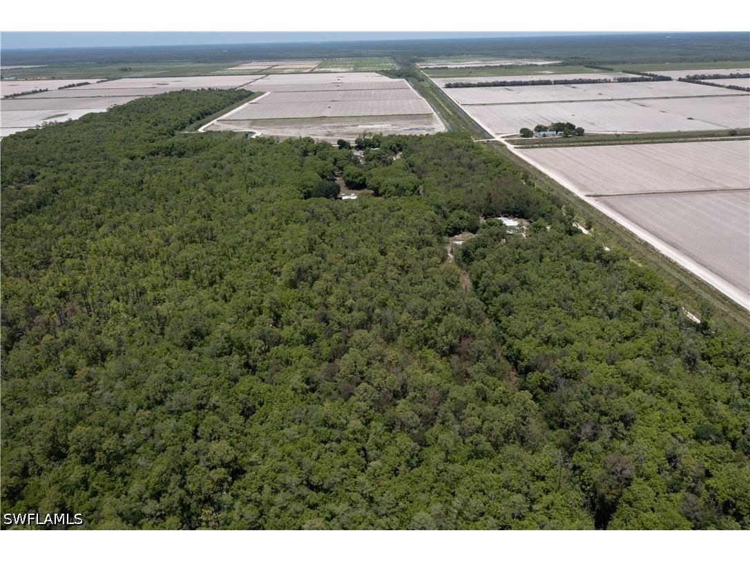 Lager Lane Naples FL 34114 226018289 image5