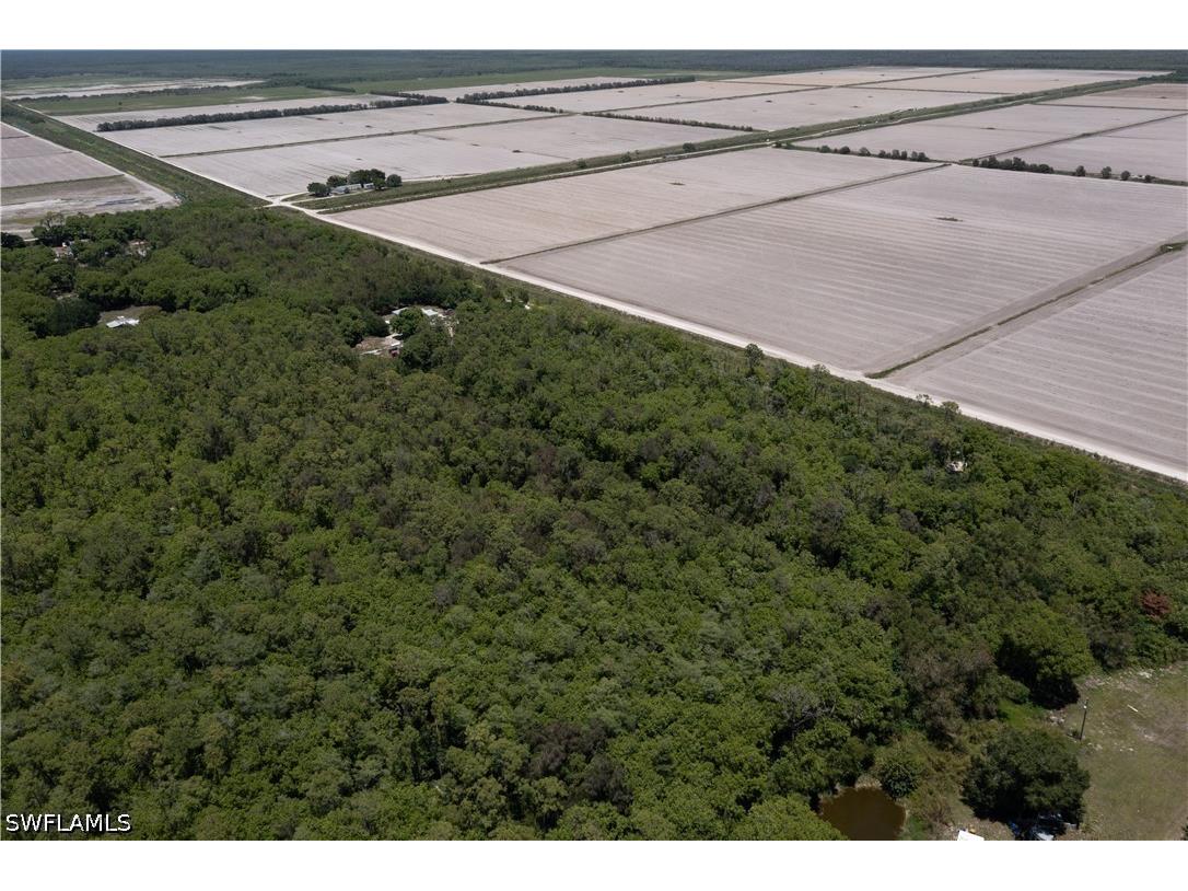 Lager Lane Naples FL 34114 226018289 image6