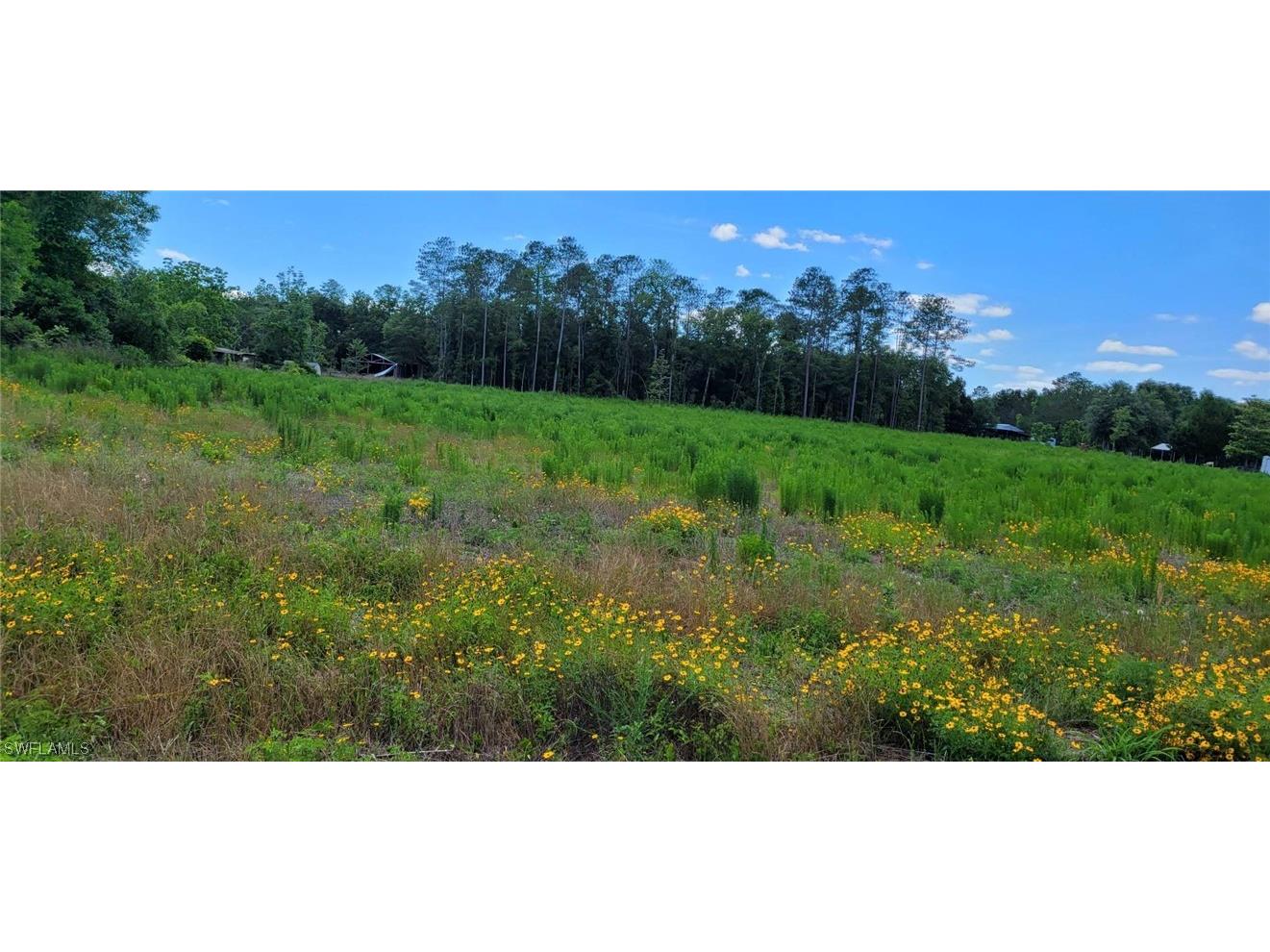  Live Oak FL 32060 223022534 image1