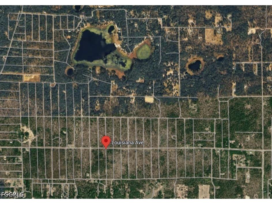 Louisiana Avenue Hawthorne FL 32640 2026014334 image5