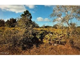 Malaga Avenue North Port FL 34287 2025005606 image4