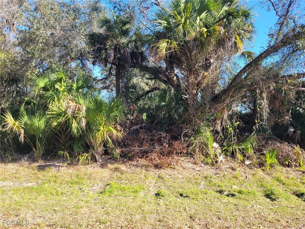 March Lane Labelle FL 33935 2026004150 image3