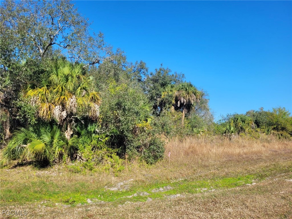 March Lane Labelle FL 33935 2026004150 image4