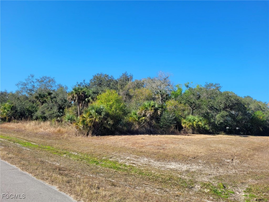 March Lane Labelle FL 33935 2026004150 image8