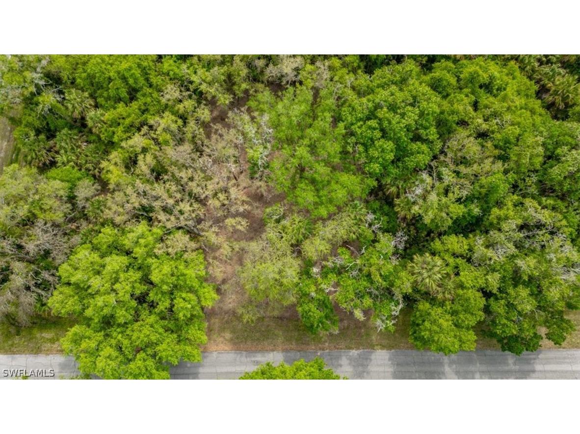 March Lane Labelle FL 33935 224036497 image1