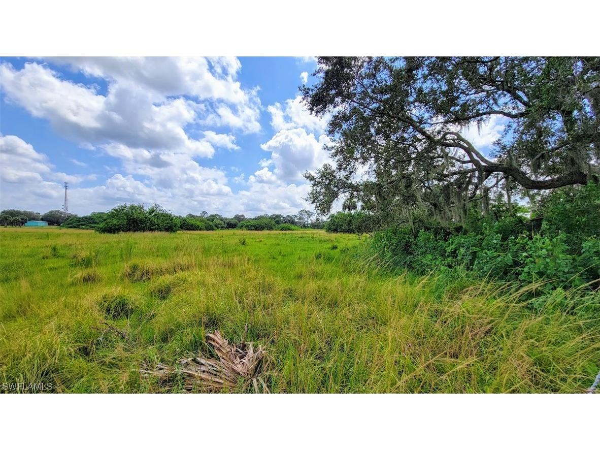 Morris Taylor Road Felda FL 33930 223059468 image1