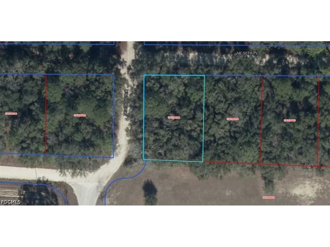 NE 50th Place Williston FL 32696 2026023471 image1