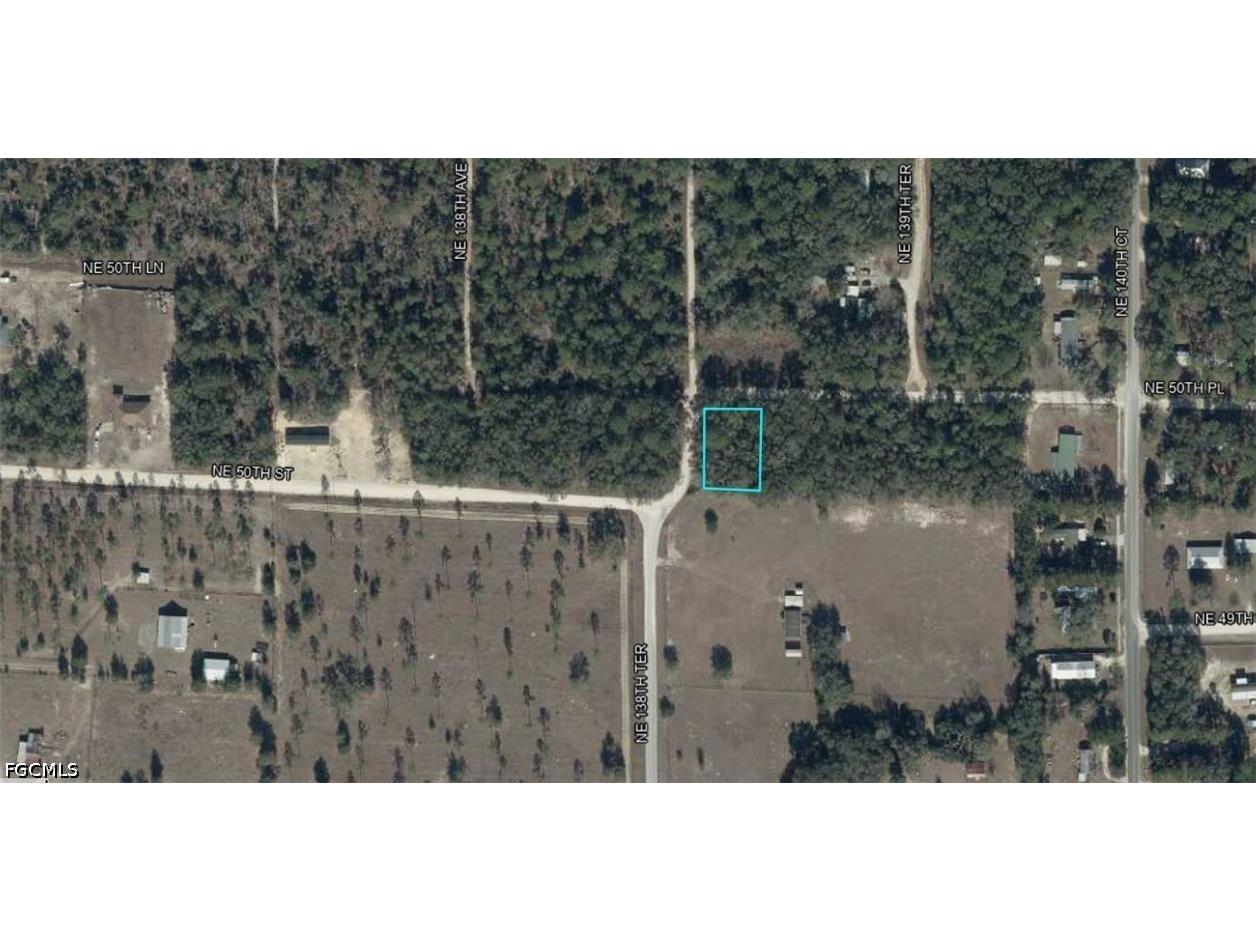 NE 50th Place Williston FL 32696 2026023471 image2