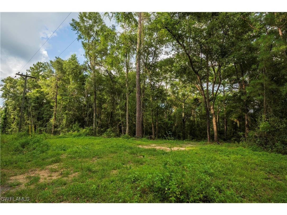 NE Blue Springs Church Road Madison FL 32059 223046469 image1