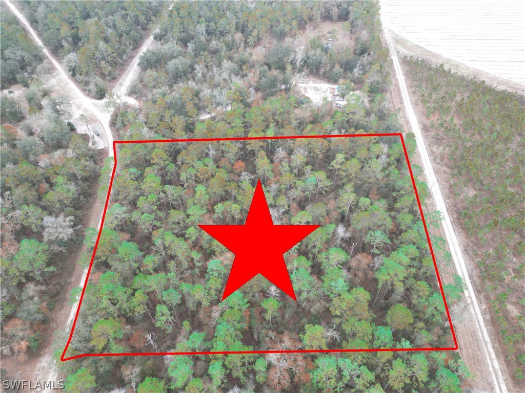 NE River Country Trail Lee FL 32059 223001248 image1