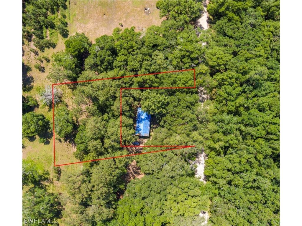 Nw Hickory Road Madison FL 32340 223035756 image1